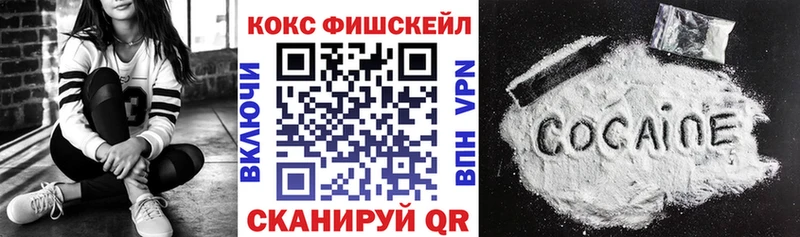 цена наркотик  Новоузенск  Кокаин Fish Scale 